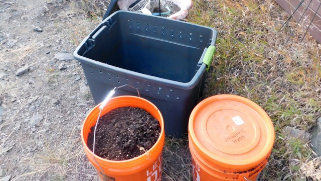 worm_bin_103018_01_1000