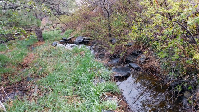 water_pools_041616_1000