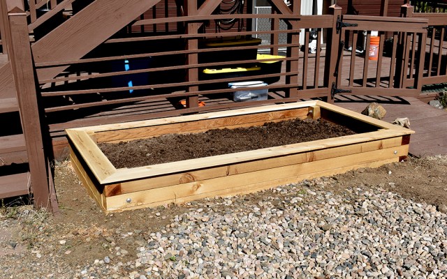 raised_bed_100619_03